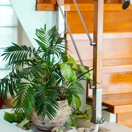 Corfu Horizon 别墅 *