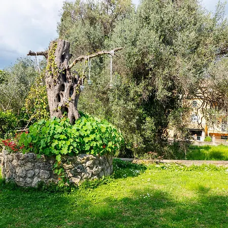 Corfu Horizon Villa
